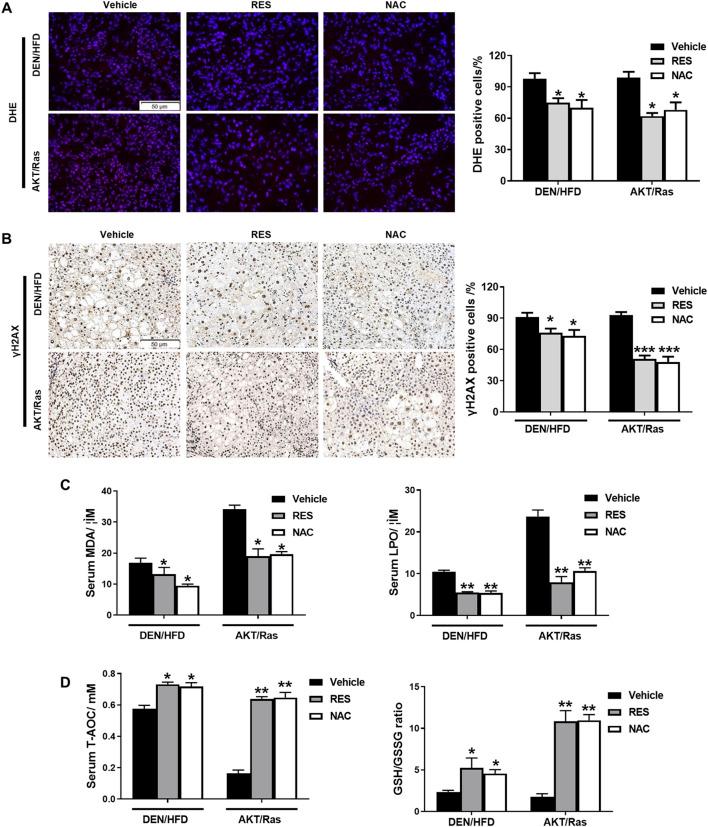 https://cdn.ncbi.nlm.nih.gov/pmc/blobs/2900/12066552/a6f5b415ed0c/fphar-16-1574039-g004.jpg