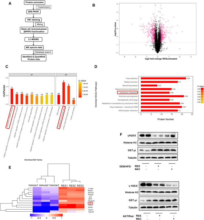 https://cdn.ncbi.nlm.nih.gov/pmc/blobs/2900/12066552/f7a296fd59a3/fphar-16-1574039-g005.jpg