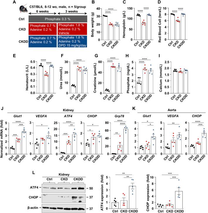 https://cdn.ncbi.nlm.nih.gov/pmc/blobs/2901/11322142/1cf1cb90eee1/fphar-15-1399248-g001.jpg