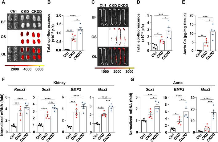 https://cdn.ncbi.nlm.nih.gov/pmc/blobs/2901/11322142/ddd3adbd55c1/fphar-15-1399248-g002.jpg