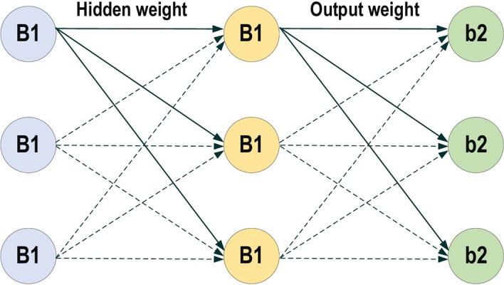 https://cdn.ncbi.nlm.nih.gov/pmc/blobs/2901/8010506/baa9bbefb0d5/40537_2021_444_Fig13_HTML.jpg