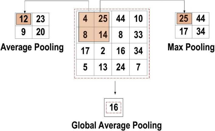 https://cdn.ncbi.nlm.nih.gov/pmc/blobs/2901/8010506/bbeb8eabb5a1/40537_2021_444_Fig9_HTML.jpg