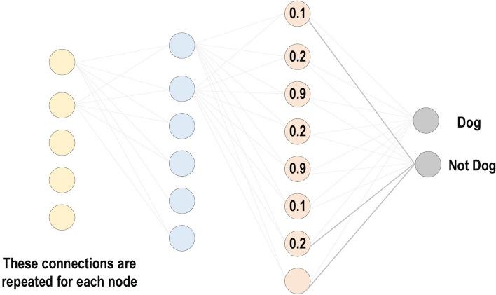 https://cdn.ncbi.nlm.nih.gov/pmc/blobs/2901/8010506/f2fa1aead27f/40537_2021_444_Fig10_HTML.jpg
