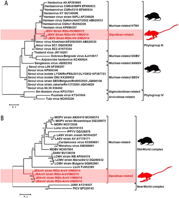 https://cdn.ncbi.nlm.nih.gov/pmc/blobs/2902/5861045/9fabb414c8ad/41426_2018_36_Fig1_HTML.jpg