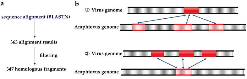 https://cdn.ncbi.nlm.nih.gov/pmc/blobs/2903/10145014/234f9c1e45ad/viruses-15-00909-g001.jpg