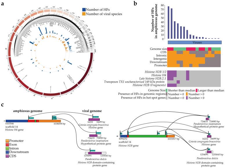 https://cdn.ncbi.nlm.nih.gov/pmc/blobs/2903/10145014/2d009b64e417/viruses-15-00909-g004.jpg
