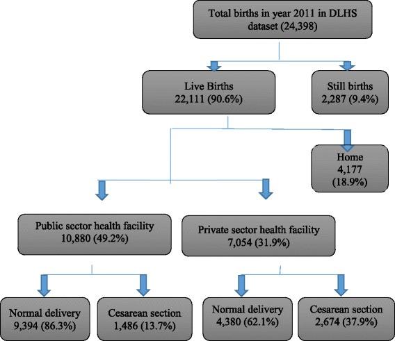 https://cdn.ncbi.nlm.nih.gov/pmc/blobs/2904/5946478/3619edda6e9d/12889_2018_5533_Fig1_HTML.jpg