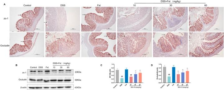 https://cdn.ncbi.nlm.nih.gov/pmc/blobs/2906/10755303/92e33587b596/gr4.jpg