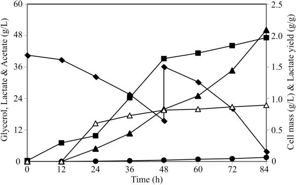 https://cdn.ncbi.nlm.nih.gov/pmc/blobs/2907/3616864/cf2f356d35fd/1475-2859-12-7-5.jpg