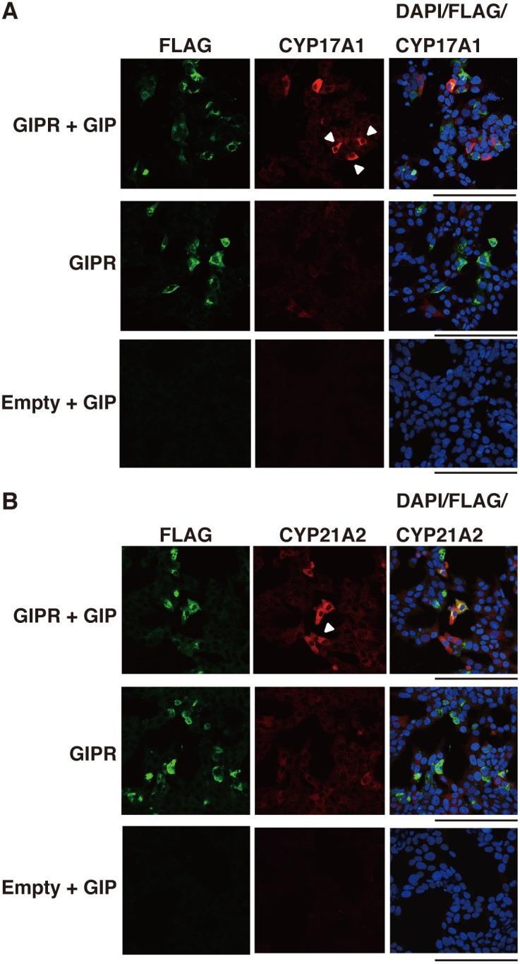 https://cdn.ncbi.nlm.nih.gov/pmc/blobs/2907/4204891/6681703d3edc/pone.0110543.g004.jpg