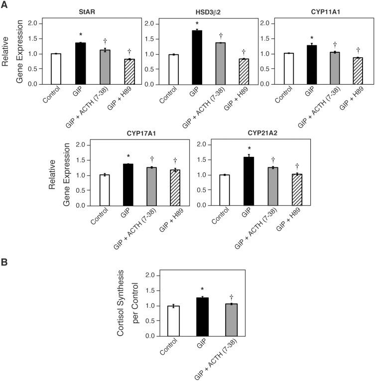 https://cdn.ncbi.nlm.nih.gov/pmc/blobs/2907/4204891/ced9fc81e915/pone.0110543.g006.jpg
