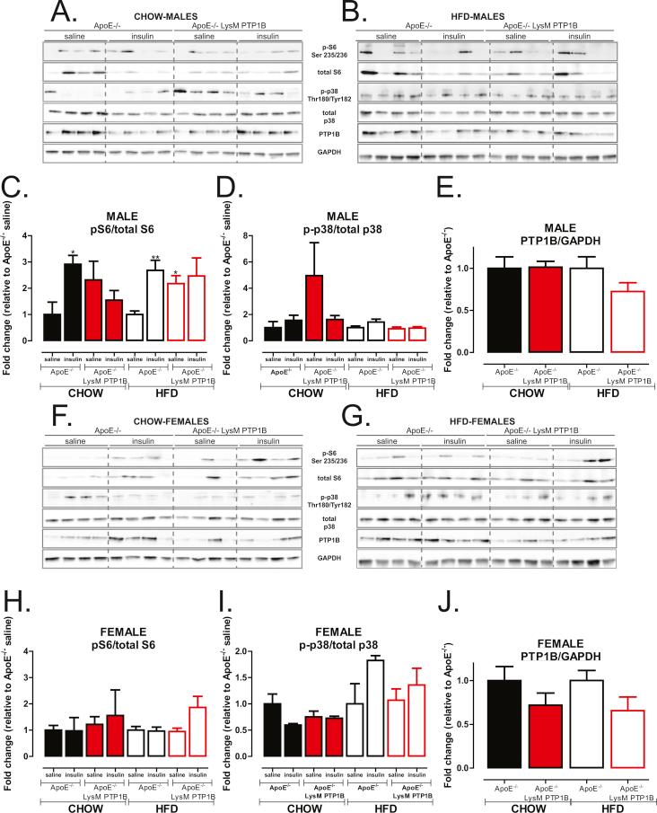 https://cdn.ncbi.nlm.nih.gov/pmc/blobs/2907/5518727/233ad5ccaebf/figs4.jpg
