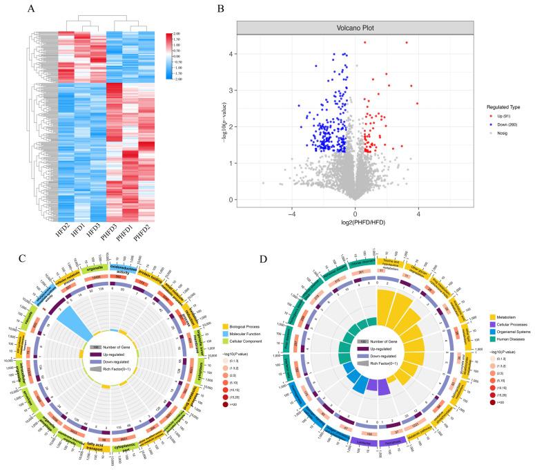 https://cdn.ncbi.nlm.nih.gov/pmc/blobs/2908/12024547/3b8001491658/biology-14-00381-g003.jpg