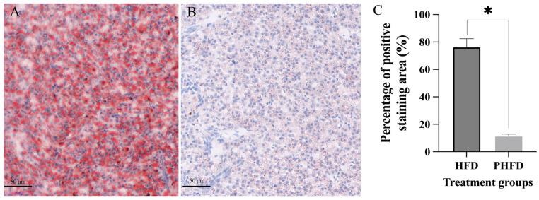 https://cdn.ncbi.nlm.nih.gov/pmc/blobs/2908/12024547/d6ea125d117c/biology-14-00381-g002.jpg