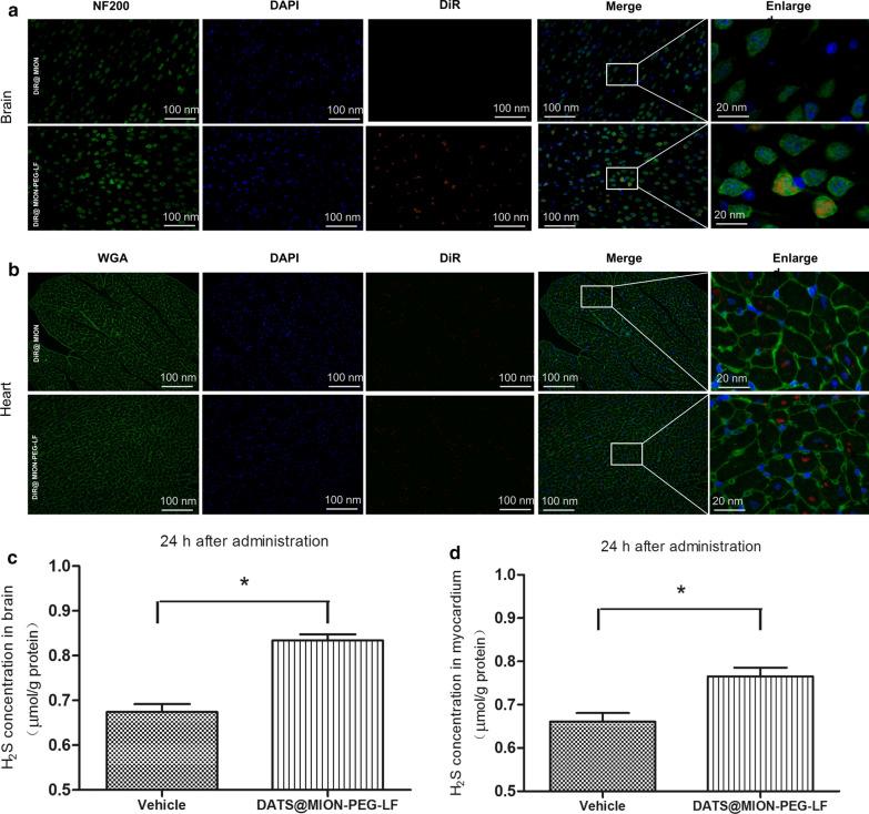 https://cdn.ncbi.nlm.nih.gov/pmc/blobs/2909/7866762/a36d990c0ba8/12951_2021_784_Fig5_HTML.jpg
