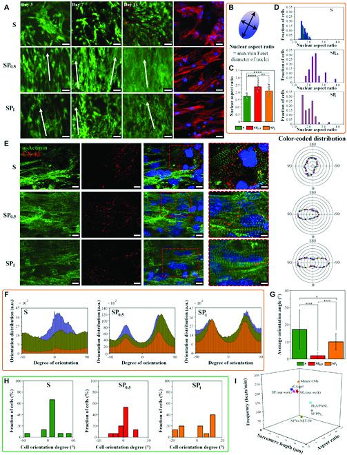 https://cdn.ncbi.nlm.nih.gov/pmc/blobs/290a/10250027/9902d13612a3/research.0161.fig.004.jpg