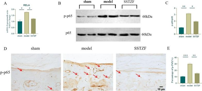 https://cdn.ncbi.nlm.nih.gov/pmc/blobs/290a/10799454/30789d41afe1/13018_2023_4391_Fig6_HTML.jpg