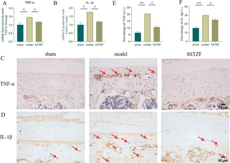 https://cdn.ncbi.nlm.nih.gov/pmc/blobs/290a/10799454/5fa1f7866ef7/13018_2023_4391_Fig5_HTML.jpg