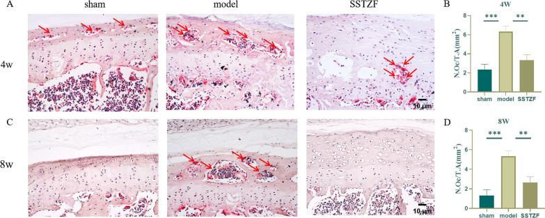 https://cdn.ncbi.nlm.nih.gov/pmc/blobs/290a/10799454/70e7c5b29933/13018_2023_4391_Fig3_HTML.jpg