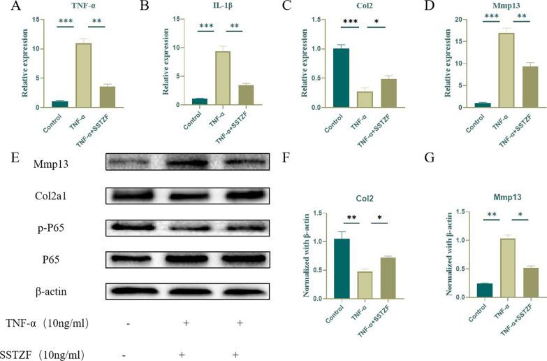 https://cdn.ncbi.nlm.nih.gov/pmc/blobs/290a/10799454/a53a65fe14de/13018_2023_4391_Fig7_HTML.jpg