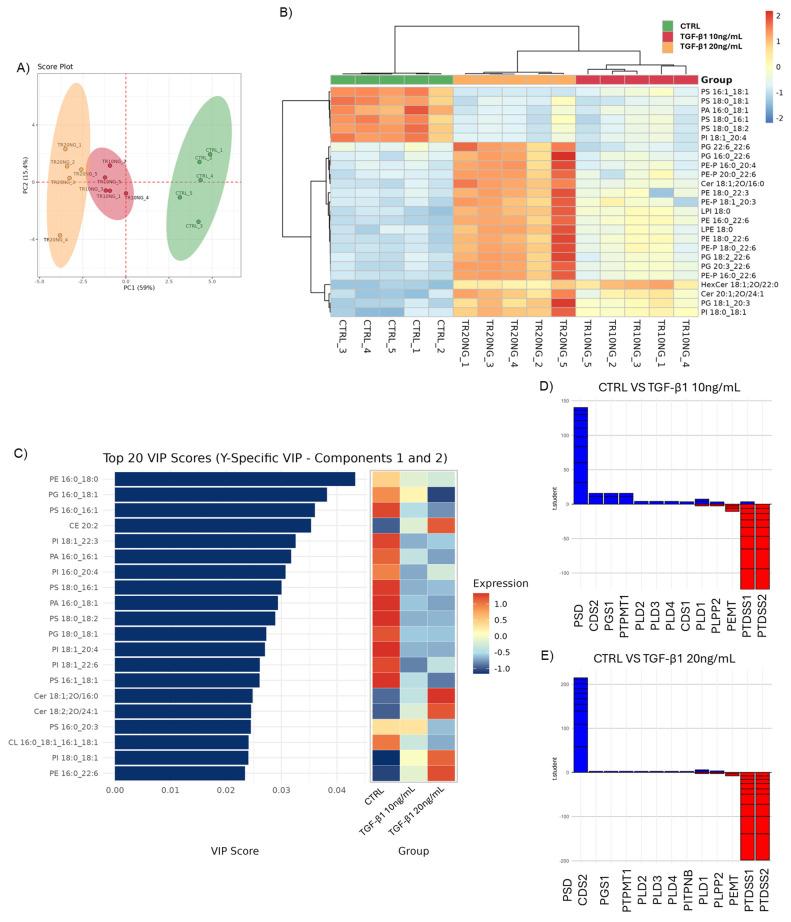 https://cdn.ncbi.nlm.nih.gov/pmc/blobs/290c/12384463/40f446849045/cells-14-01233-g003.jpg