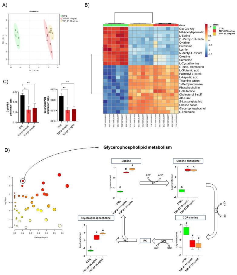 https://cdn.ncbi.nlm.nih.gov/pmc/blobs/290c/12384463/4b69666b5090/cells-14-01233-g004.jpg