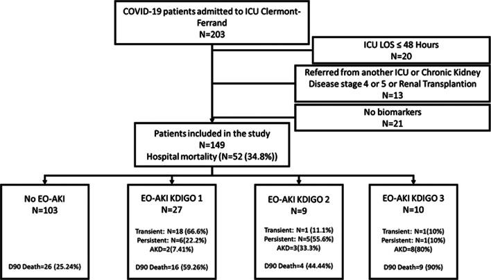 https://cdn.ncbi.nlm.nih.gov/pmc/blobs/290e/12211137/6c900ce8bee4/12882_2025_4267_Fig1_HTML.jpg