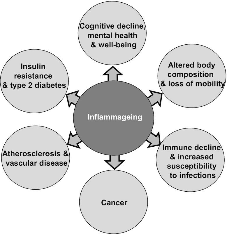 https://cdn.ncbi.nlm.nih.gov/pmc/blobs/290e/9526826/056580ceff20/nmac052fig2.jpg