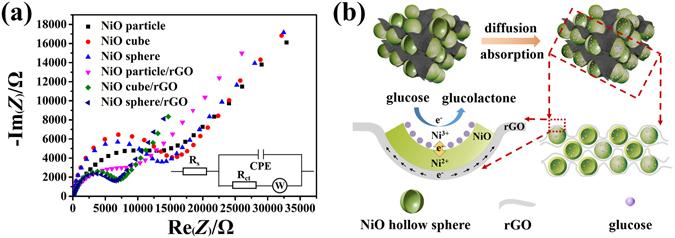 https://cdn.ncbi.nlm.nih.gov/pmc/blobs/290f/5507916/04617fbb1d3f/41598_2017_5528_Fig8_HTML.jpg