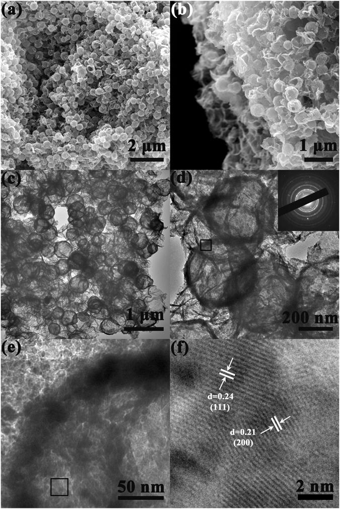 https://cdn.ncbi.nlm.nih.gov/pmc/blobs/290f/5507916/3ca2199c63e1/41598_2017_5528_Fig4_HTML.jpg