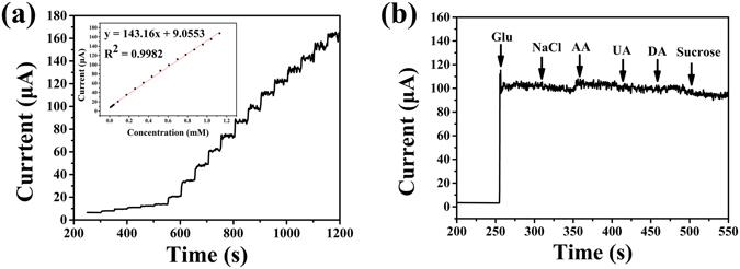 https://cdn.ncbi.nlm.nih.gov/pmc/blobs/290f/5507916/665deb60cf6e/41598_2017_5528_Fig9_HTML.jpg