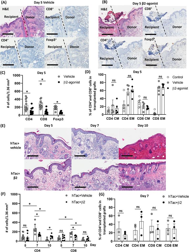 https://cdn.ncbi.nlm.nih.gov/pmc/blobs/290f/9394753/28bb4d5fb61a/CTM2-12-e996-g005.jpg