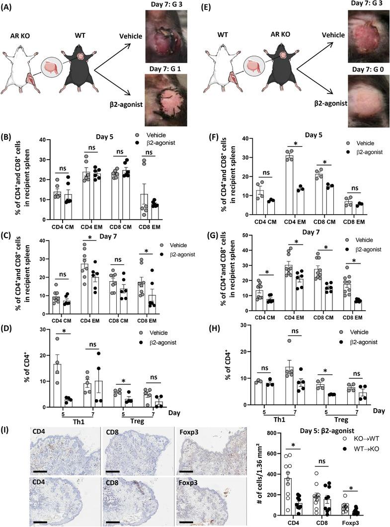 https://cdn.ncbi.nlm.nih.gov/pmc/blobs/290f/9394753/a833fd68f8be/CTM2-12-e996-g003.jpg