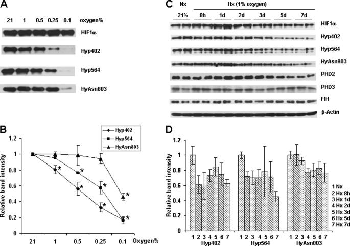 https://cdn.ncbi.nlm.nih.gov/pmc/blobs/2912/3075650/f8d2963bd113/zbc0211158700004.jpg