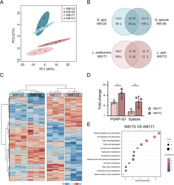 https://cdn.ncbi.nlm.nih.gov/pmc/blobs/2912/8729767/1a4b19b8ff2e/spectrum.01896-21-f003.jpg