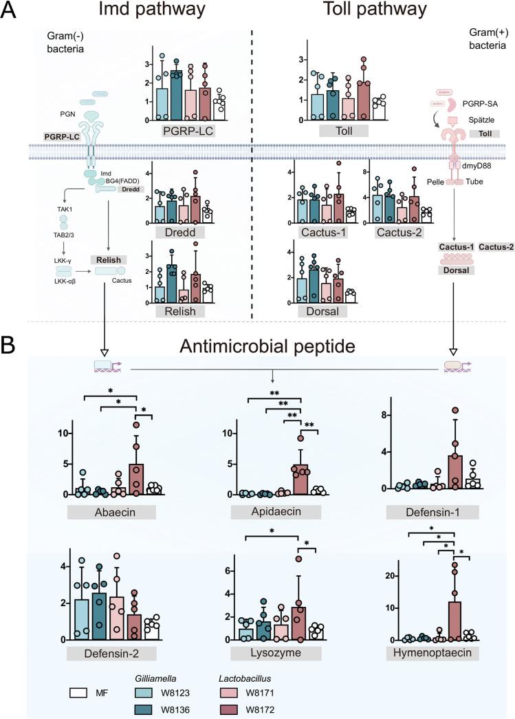 https://cdn.ncbi.nlm.nih.gov/pmc/blobs/2912/8729767/83ed0eec8589/spectrum.01896-21-f004.jpg