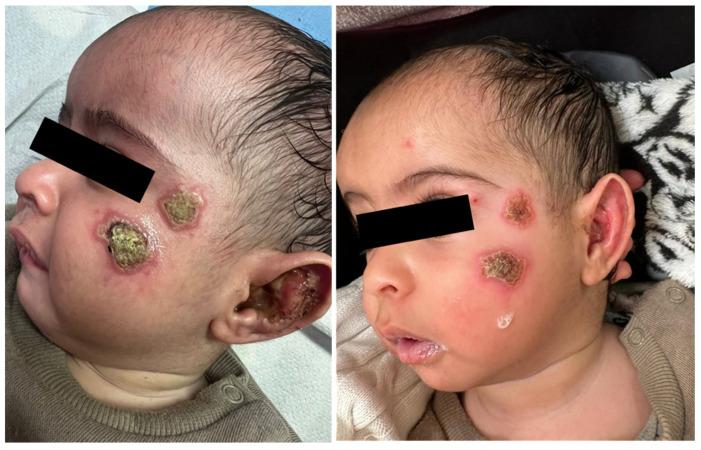 https://cdn.ncbi.nlm.nih.gov/pmc/blobs/2913/10892631/642ff3d8241b/pharmacy-12-00030-g003.jpg