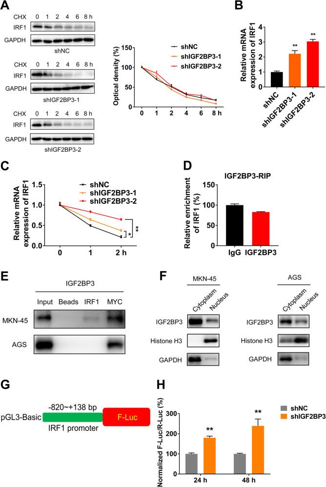 https://cdn.ncbi.nlm.nih.gov/pmc/blobs/2913/10917814/5a40d48865c6/41419_2024_6566_Fig5_HTML.jpg