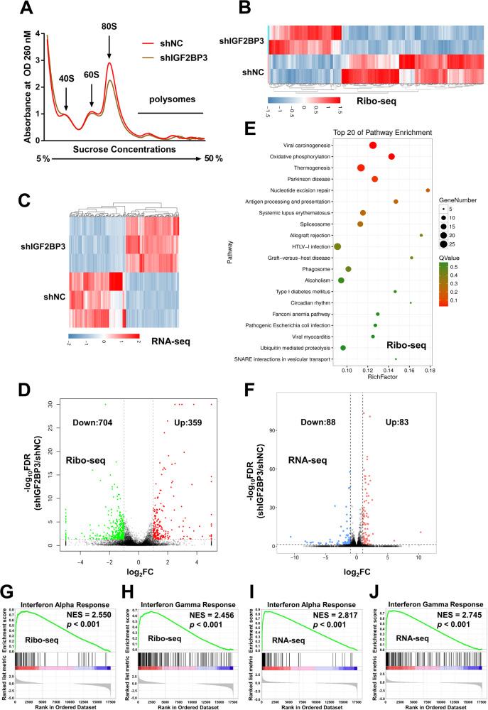 https://cdn.ncbi.nlm.nih.gov/pmc/blobs/2913/10917814/cfb73de4c420/41419_2024_6566_Fig3_HTML.jpg