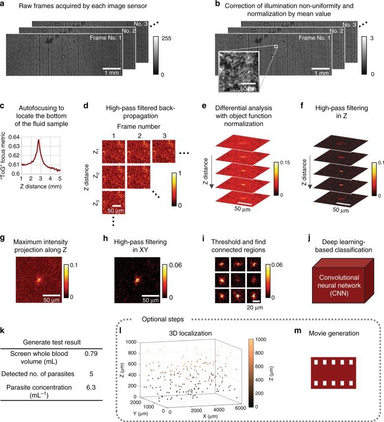https://cdn.ncbi.nlm.nih.gov/pmc/blobs/2914/6290798/b8bb311f8196/41377_2018_110_Fig3_HTML.jpg