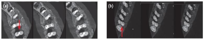 https://cdn.ncbi.nlm.nih.gov/pmc/blobs/2915/4320278/256470194b4f/rde-40-58-g005.jpg