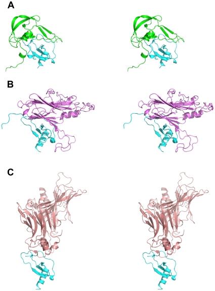 https://cdn.ncbi.nlm.nih.gov/pmc/blobs/2916/2796168/d7be5dd0bf15/pone.0008514.g007.jpg