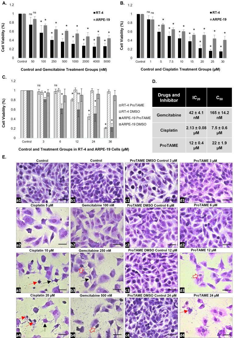 https://cdn.ncbi.nlm.nih.gov/pmc/blobs/2916/9923226/c8ac654e0e1c/gr1.jpg