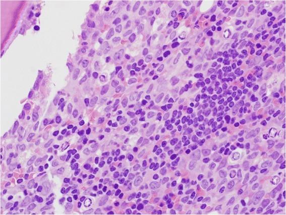 https://cdn.ncbi.nlm.nih.gov/pmc/blobs/2917/5028963/8a3086449710/12885_2016_2780_Fig3_HTML.jpg