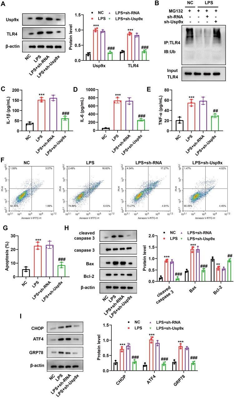 https://cdn.ncbi.nlm.nih.gov/pmc/blobs/291a/11182076/cb7c0ee56052/IRNF_A_2361089_F0003_C.jpg
