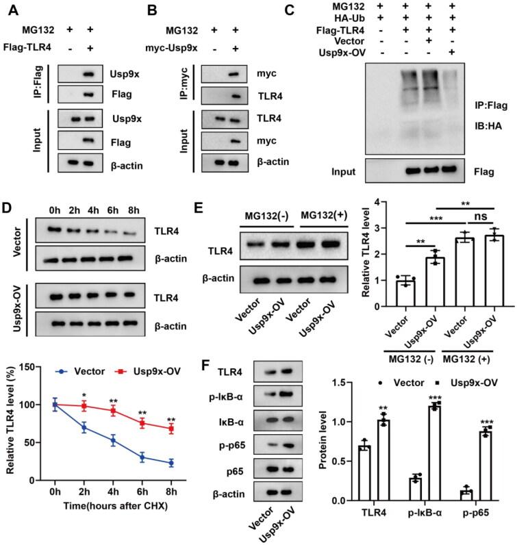 https://cdn.ncbi.nlm.nih.gov/pmc/blobs/291a/11182076/e101ded42ec4/IRNF_A_2361089_F0002_C.jpg