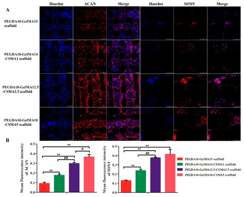 https://cdn.ncbi.nlm.nih.gov/pmc/blobs/291a/8271621/61a9bbf11dd6/polymers-13-02146-g006.jpg