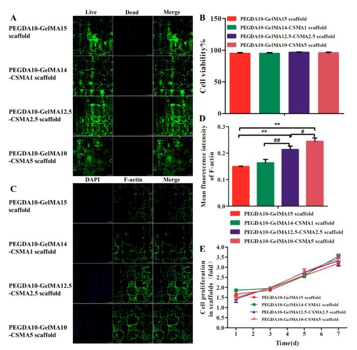 https://cdn.ncbi.nlm.nih.gov/pmc/blobs/291a/8271621/d48834806c6e/polymers-13-02146-g003.jpg