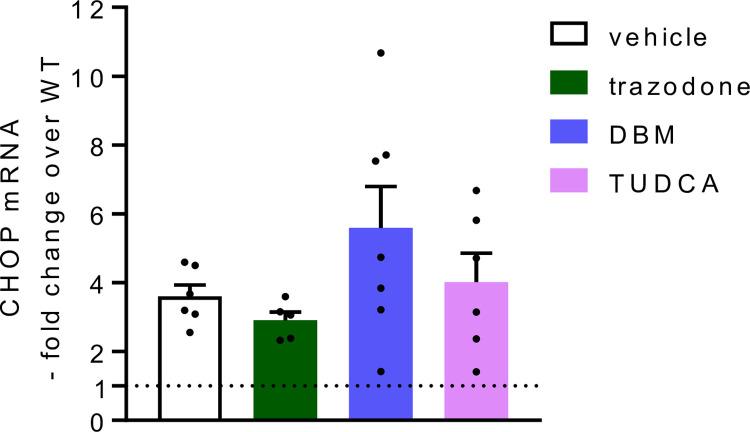 https://cdn.ncbi.nlm.nih.gov/pmc/blobs/291c/11729928/0becc00da1cb/pone.0317404.g005.jpg