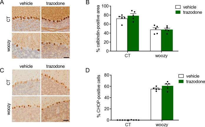 https://cdn.ncbi.nlm.nih.gov/pmc/blobs/291c/11729928/4c16a9b37d18/pone.0317404.g004.jpg